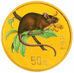 ��è5��˾����