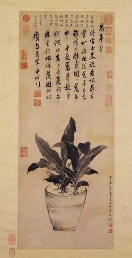 ��������桶�����ࡷ