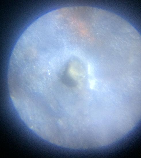 ��΢���¿�ϵ��ͭ�ʵ�